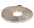 LED Strip, LS, 5m, 12V, 400mA, 4.8W, Cool White